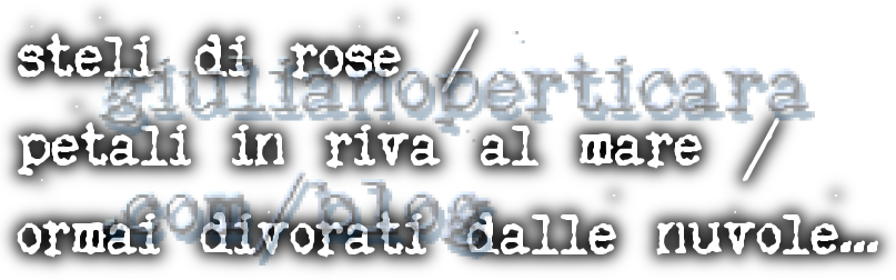 steli di rose / petali in riva al mare